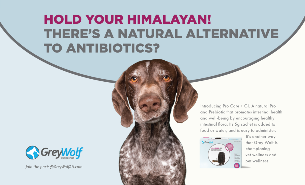 GreyWolf Veterinary products Ad Mackie Biernacki